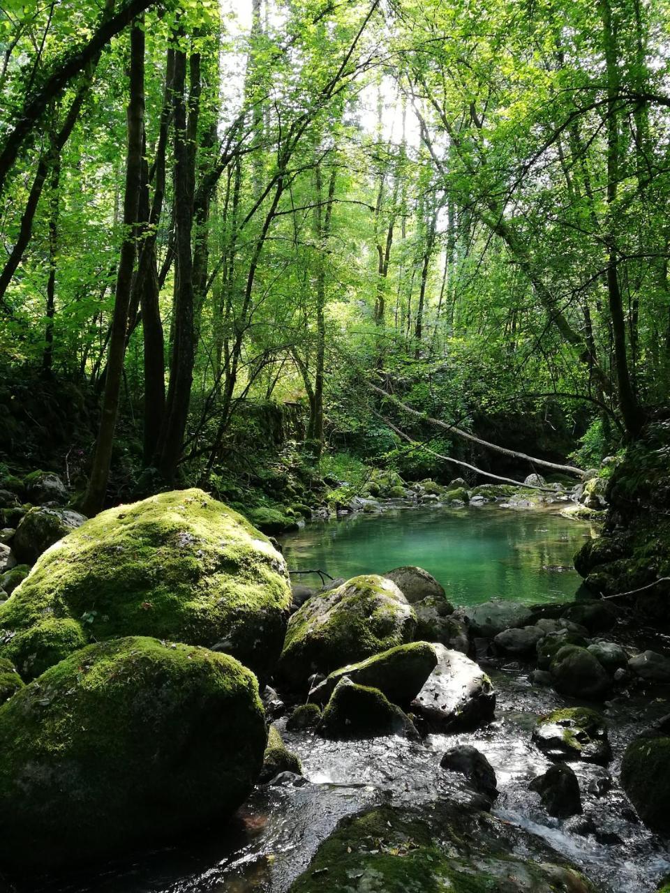 Affittacamere Valnascosta Faedis ภายนอก รูปภาพ